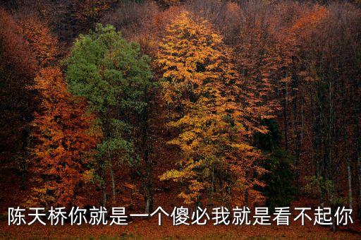 陳天橋?yàn)槭裁?，陳天橋你就是一個(gè)傻必我就是看不起你