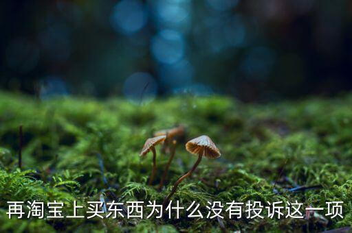 為什么消費(fèi)者網(wǎng)購(gòu)不維權(quán)，再淘寶上買東西為什么沒(méi)有投訴這一項(xiàng)