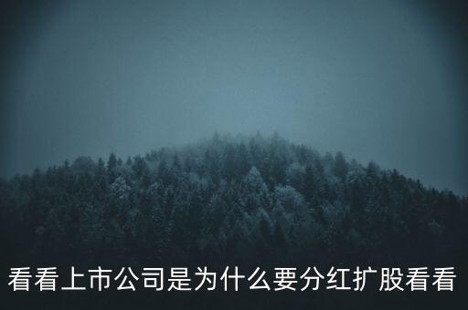 看看上市公司是為什么要分紅擴股看看