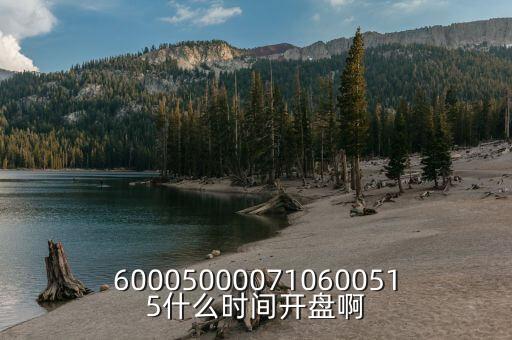 600050000710600515什么時(shí)間開盤啊