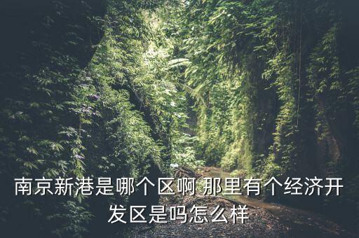 南京新港是哪個區(qū)啊 那里有個經濟開發(fā)區(qū)是嗎怎么樣
