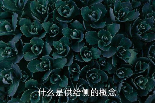 什么是供給側(cè)的概念