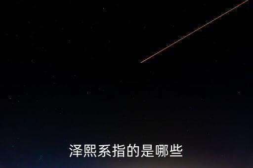 澤熙系指的是哪些
