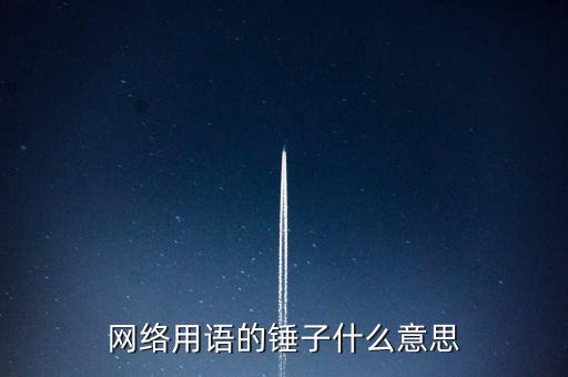 網(wǎng)絡(luò)用語(yǔ)的錘子什么意思