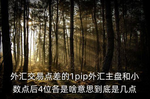 金融pip是什么意思，獲利點(diǎn)數(shù)pip在外匯市場(chǎng)是指什么意思是百分之多少嗎謝謝