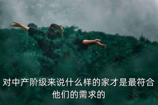 對中產(chǎn)階級來說什么樣的家才是最符合他們的需求的