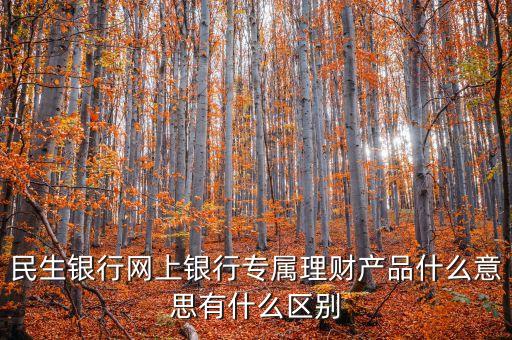 民生銀行網(wǎng)上銀行專屬理財(cái)產(chǎn)品什么意思有什么區(qū)別