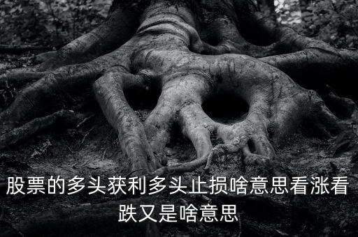 什么是多頭止損，多空平衡多頭獲利多頭止損是什么意思