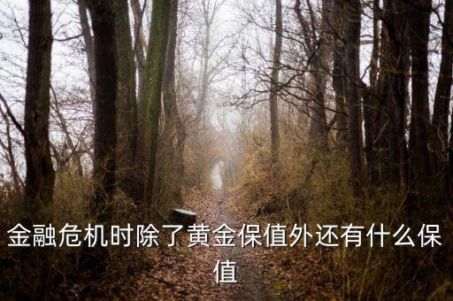 金融危機(jī)時除了黃金保值外還有什么保值
