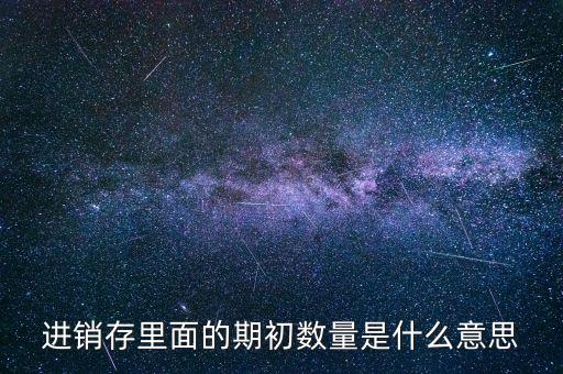 進(jìn)銷存里面的期初數(shù)量是什么意思