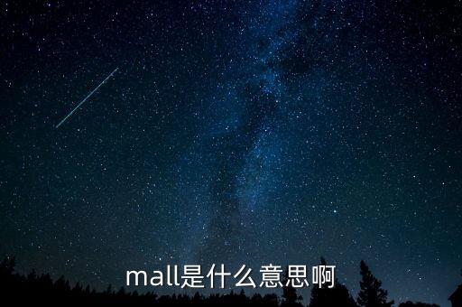 mall是什么意思啊