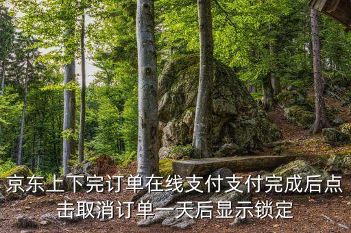 京東上下完訂單在線(xiàn)支付支付完成后點(diǎn)擊取消訂單一天后顯示鎖定