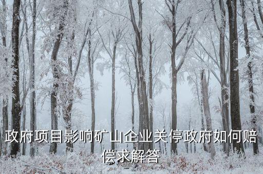 政府項目影響礦山企業(yè)關(guān)停政府如何賠償求解答