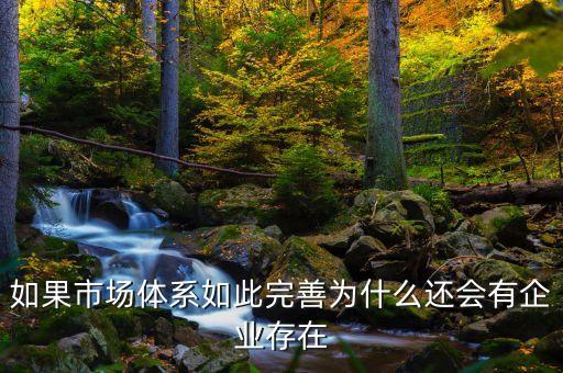 如果市場體系如此完善為什么還會有企業(yè)存在