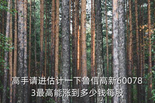 高手請進估計一下魯信高新600783最高能漲到多少錢每股