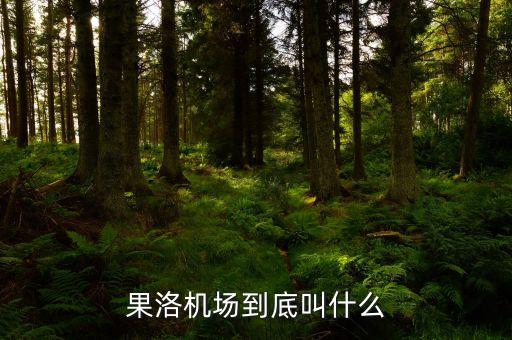 果洛機(jī)場(chǎng)到底叫什么