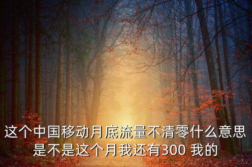 這個(gè)中國(guó)移動(dòng)月底流量不清零什么意思是不是這個(gè)月我還有300 我的