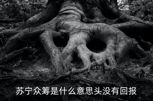 蘇寧眾籌是什么意思頭沒有回報(bào)