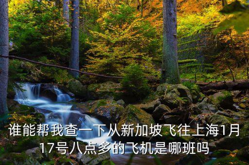 誰(shuí)能幫我查一下從新加坡飛往上海1月17號(hào)八點(diǎn)多的飛機(jī)是哪班嗎