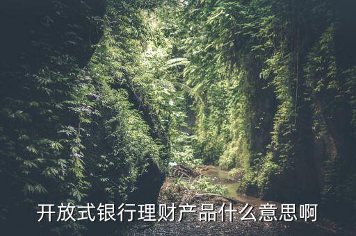 開放型理財產品是什么意思，理財開放式是什么意思