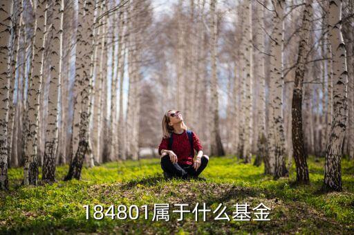 184801屬于什么基金
