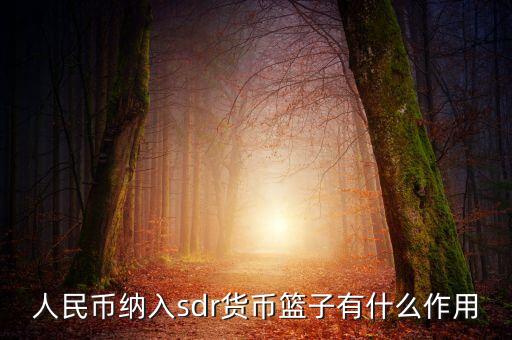 人民幣納入sdr貨幣籃子有什么作用