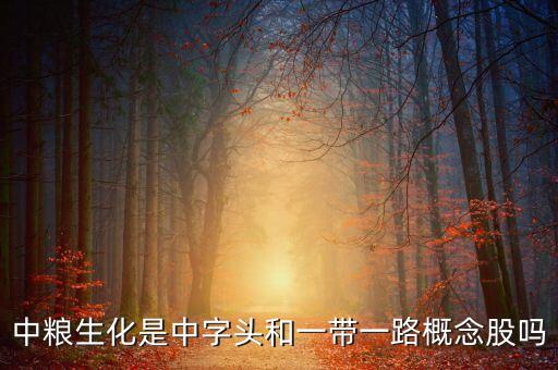 中糧生化是中字頭和一帶一路概念股嗎