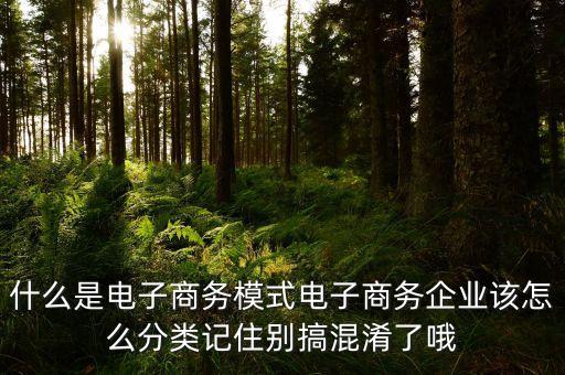 什么是電子商務(wù)的商業(yè)模式，電子商務(wù)模式有哪些