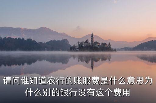 什么是三農客戶小額賬戶服務費，請問誰知道農行的賬服費是什么意思為什么別的銀行沒有這個費用