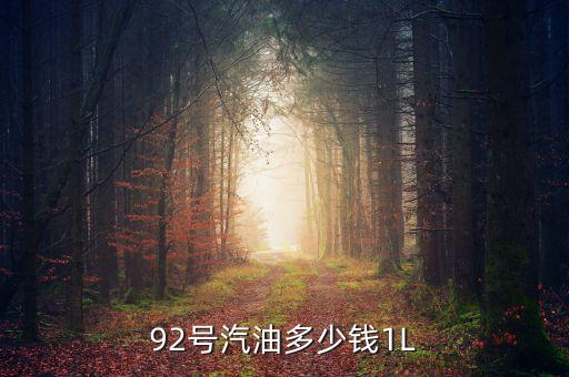 92號汽油什么價，92汽油價格