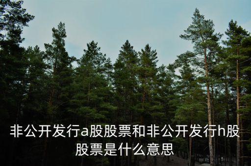 為什么發(fā)行h股，非公開(kāi)發(fā)行a股股票和非公開(kāi)發(fā)行h股股票是什么意思