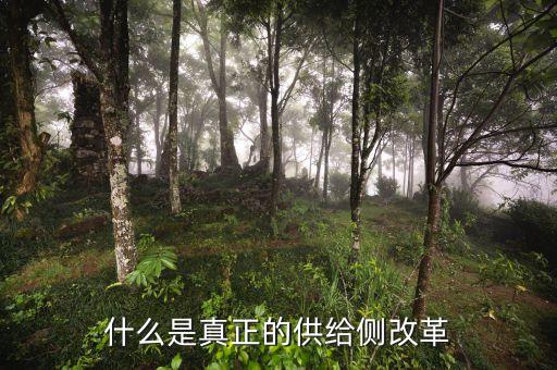 供給側(cè)改革的實(shí)質(zhì)是什么，如何理解供給側(cè)改革