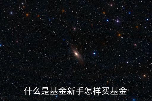 什么是基金新手怎樣買基金