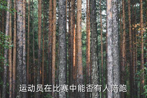 陪跑是什么，責(zé)罰是什么意思