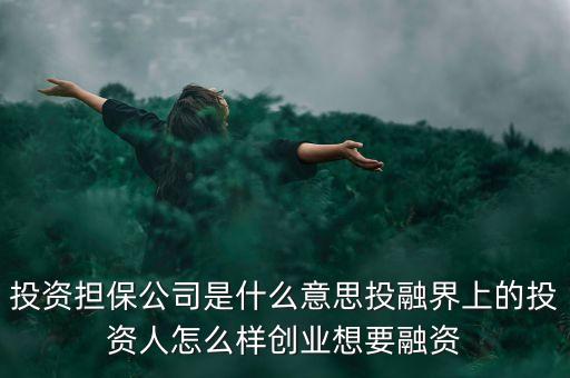 投資擔保公司是什么意思投融界上的投資人怎么樣創(chuàng)業(yè)想要融資