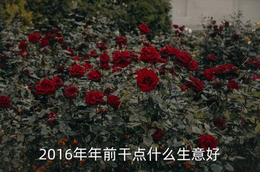 2016年年前干點什么生意好