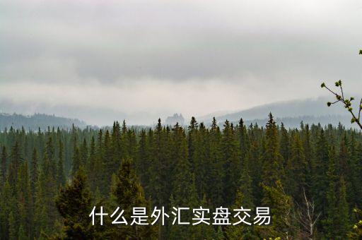 什么是外匯實(shí)盤交易