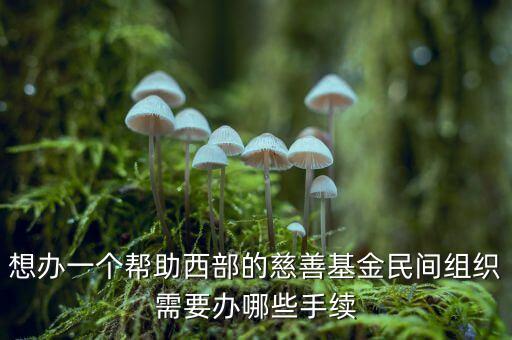 想辦一個幫助西部的慈善基金民間組織需要辦哪些手續(xù)