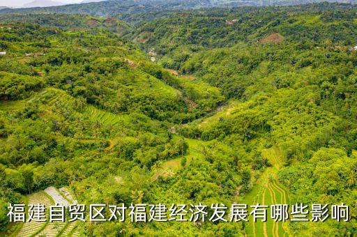 福建自貿(mào)區(qū)對福建經(jīng)濟發(fā)展有哪些影響