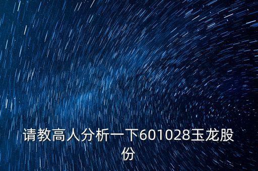 玉龍股票什么時(shí)候發(fā)行的，請(qǐng)教高人分析一下601028玉龍股份
