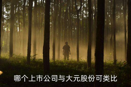 哪個(gè)上市公司與大元股份可類比