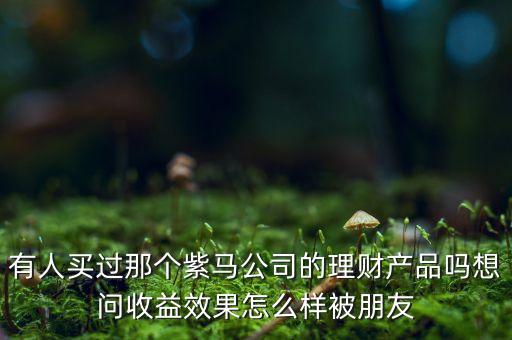 紫馬財富什么時間，有人買過那個紫馬公司的理財產品嗎想問收益效果怎么樣被朋友
