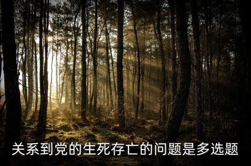 關(guān)系到黨的生死存亡的問(wèn)題是多選題