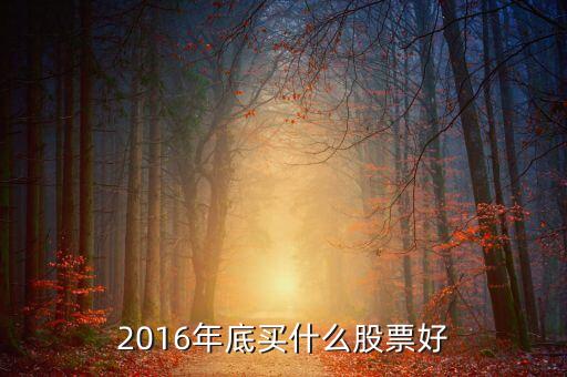 2016下半年買(mǎi)什么股票，必看2016年下半年買(mǎi)什么股票
