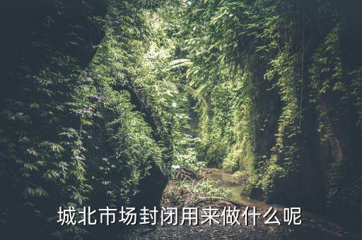 封閉市場可以干什么，城北市場封閉用來做什么呢
