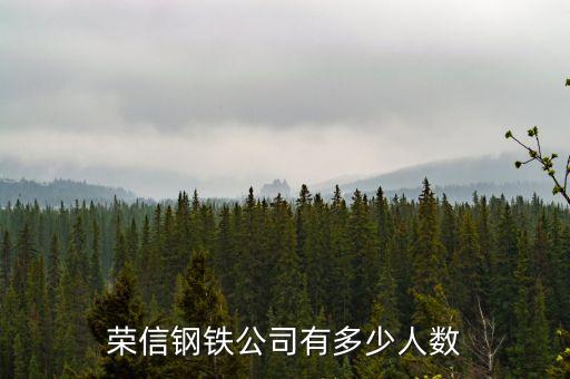 榮信電子有限公司什么時(shí)候成立，鞍山榮信電子怎么樣