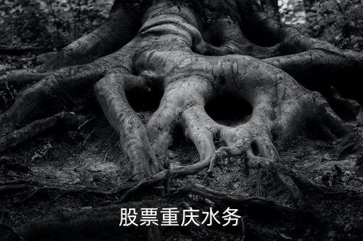 重慶水務(wù)是什么股票，朋友們請問重慶水務(wù)和國中水務(wù)這兩只股票那只基本面更好一點  搜