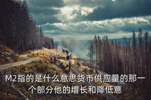 M2指的是什么意思貨幣供應(yīng)量的那一個(gè)部分他的增長(zhǎng)和降低意