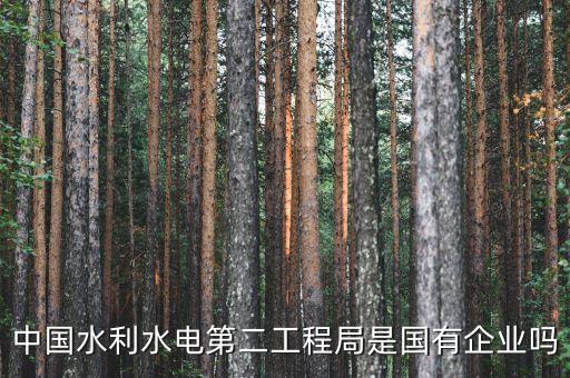 水二局是什么意思，你的紫微主星為破軍星該生辰是為 水二局的 陽(yáng)男命人其中命主