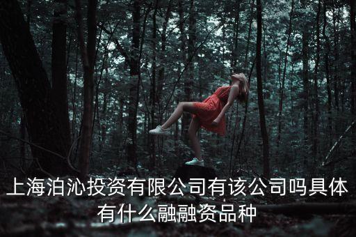 泊融資訊是做什么的，上海泊沁投資有限公司有該公司嗎具體有什么融融資品種